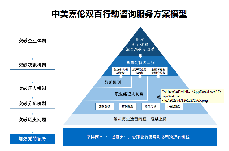 中美嘉倫&ldquo;雙百行動&rdquo;國企改革咨詢服務產品手冊