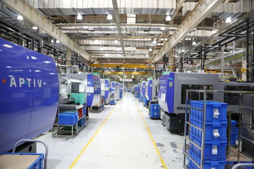 嘉定智能工廠再升級 六萬平米藍圖下的企業咨詢服務新篇章